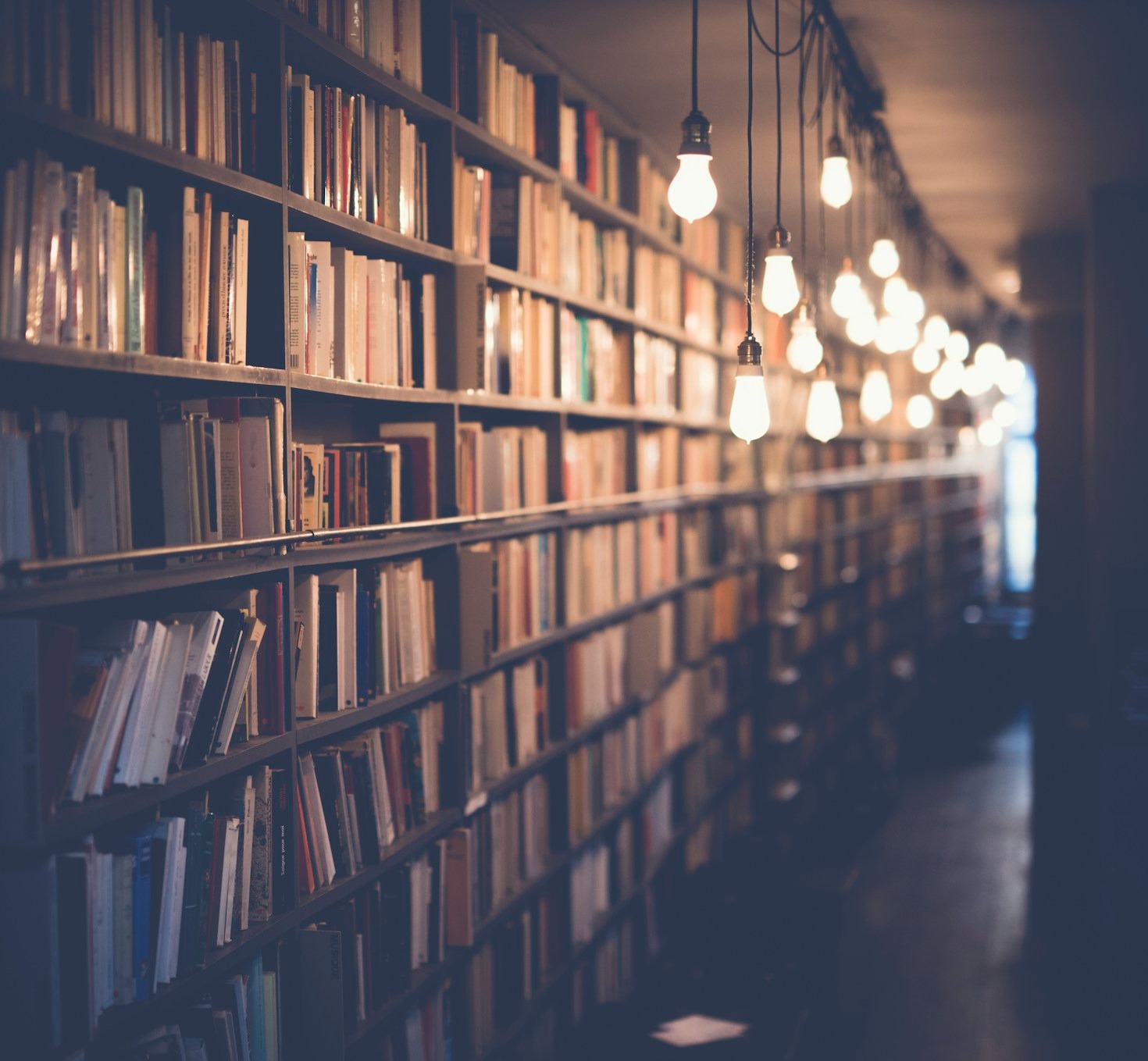 Spotlight on Cape Coral Homeschool Success Stories